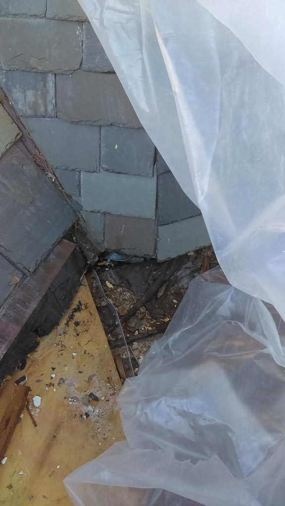 flat roof repair
