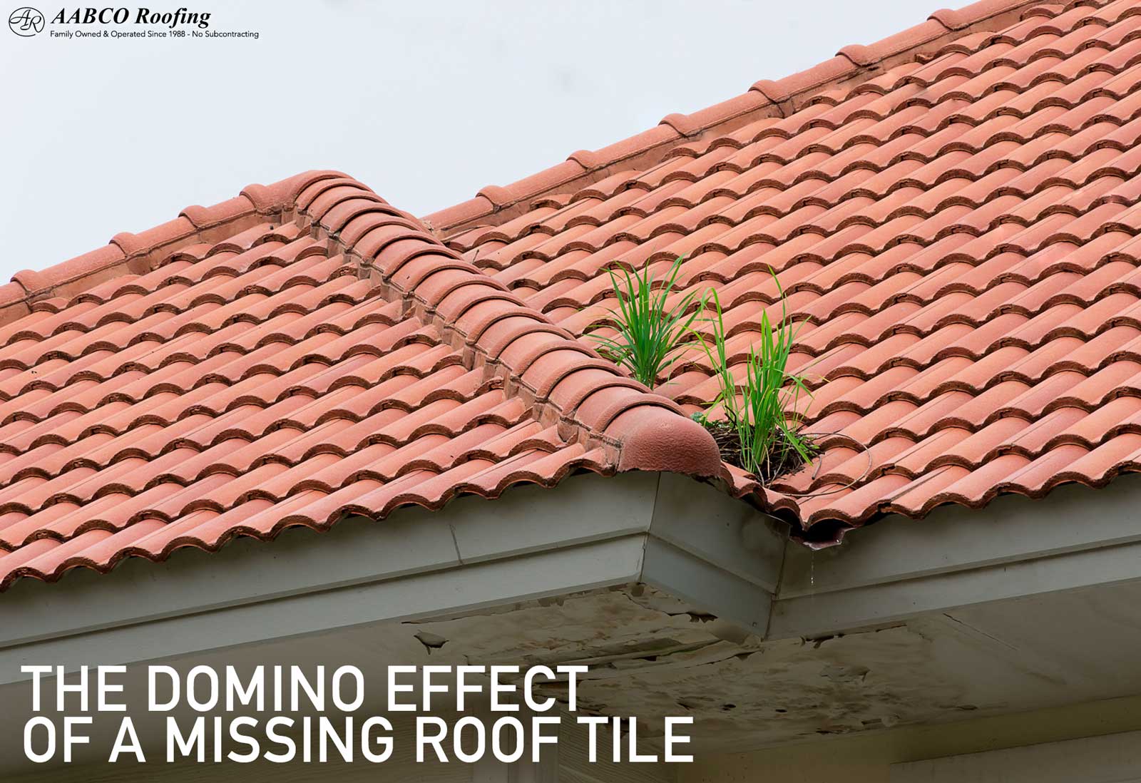 Missing Roof Tiles