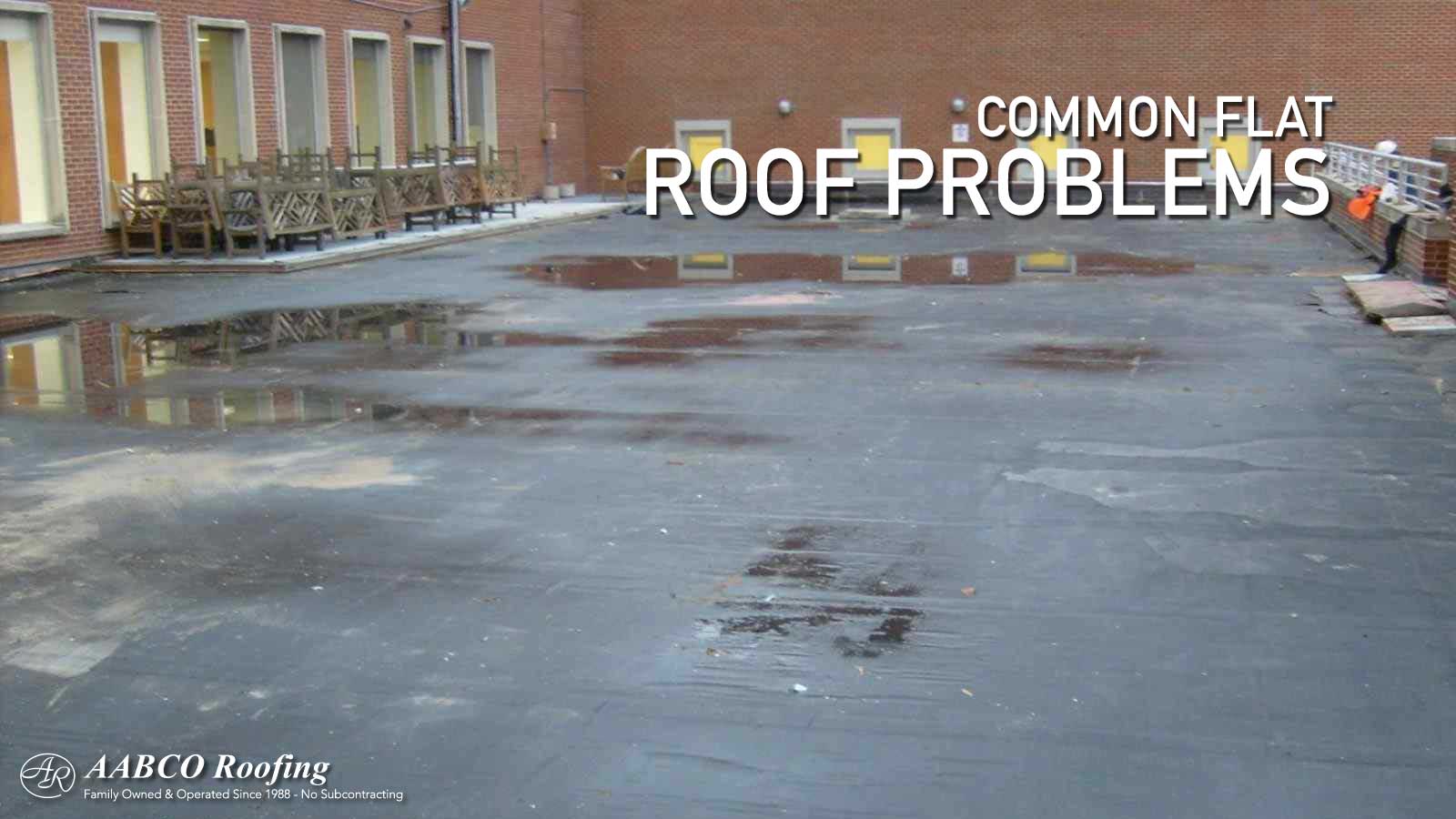 Flat Roof Problems